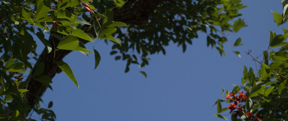 つばさ共同保育園TOP12