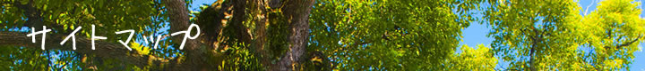 サイトマップ
